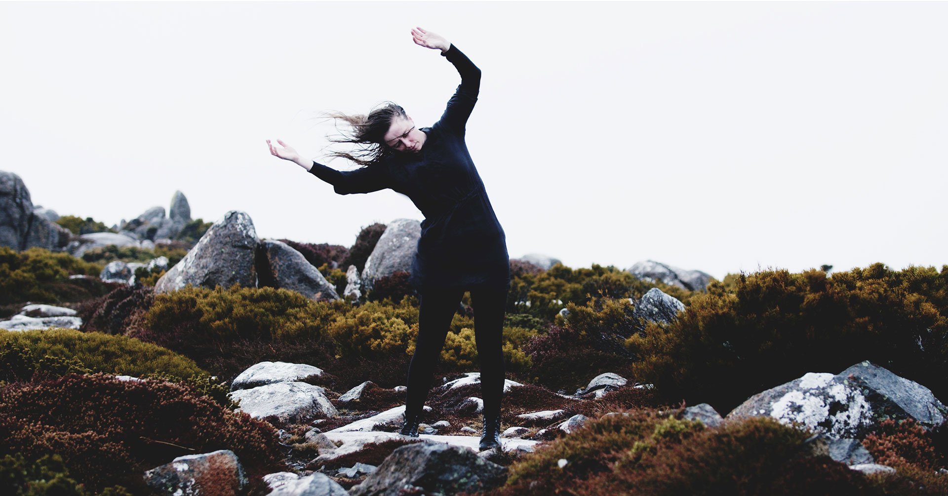 New Mountain + Dream Alley Dream