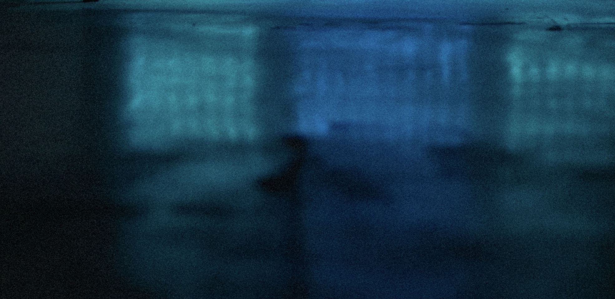 Dream Alley Dream: Scattered Order and Naomi Oliver