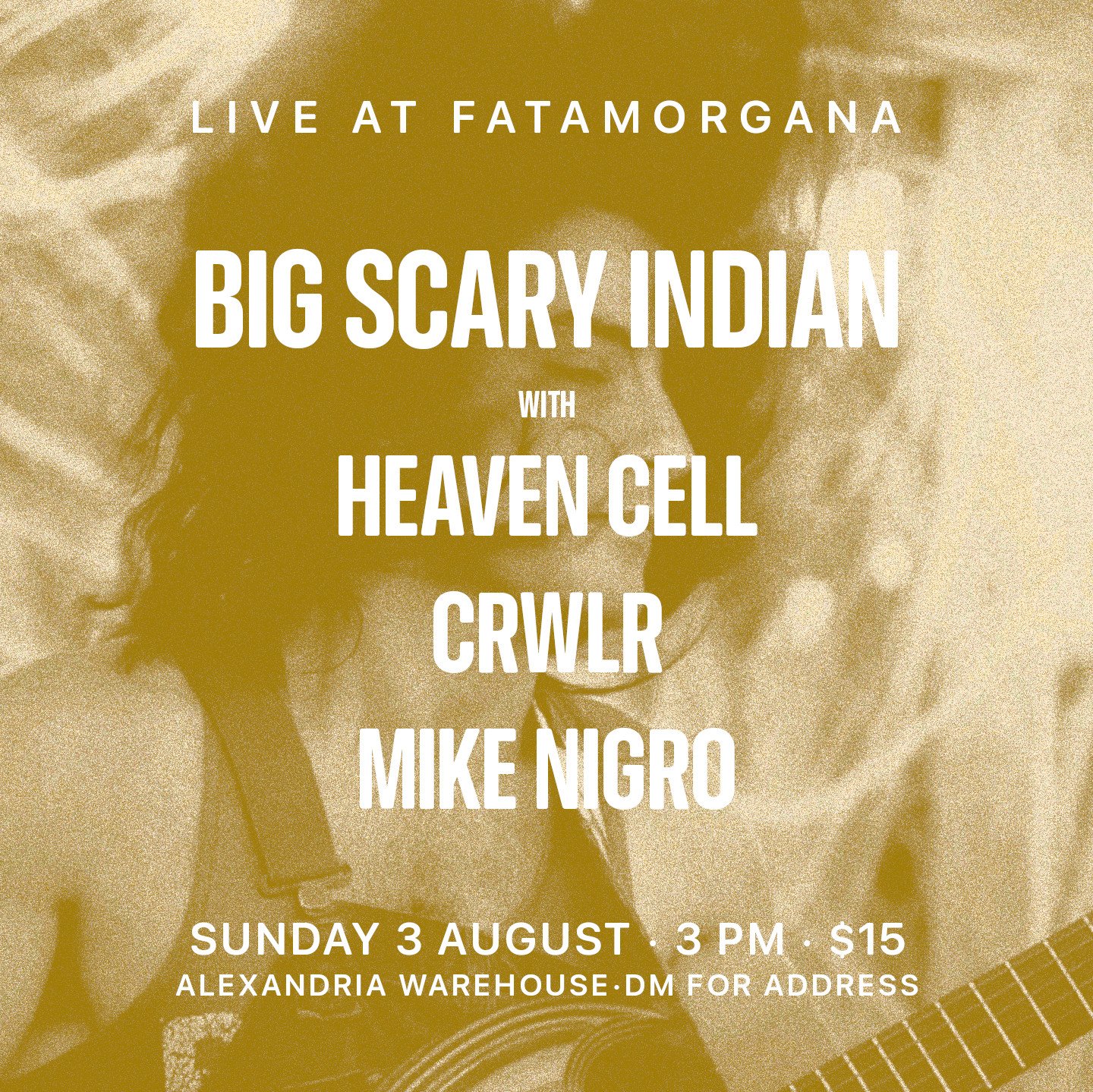 Big Scary Indian/Heaven Cell/Verre Vide/Mike Nigro @ Fatamorgana