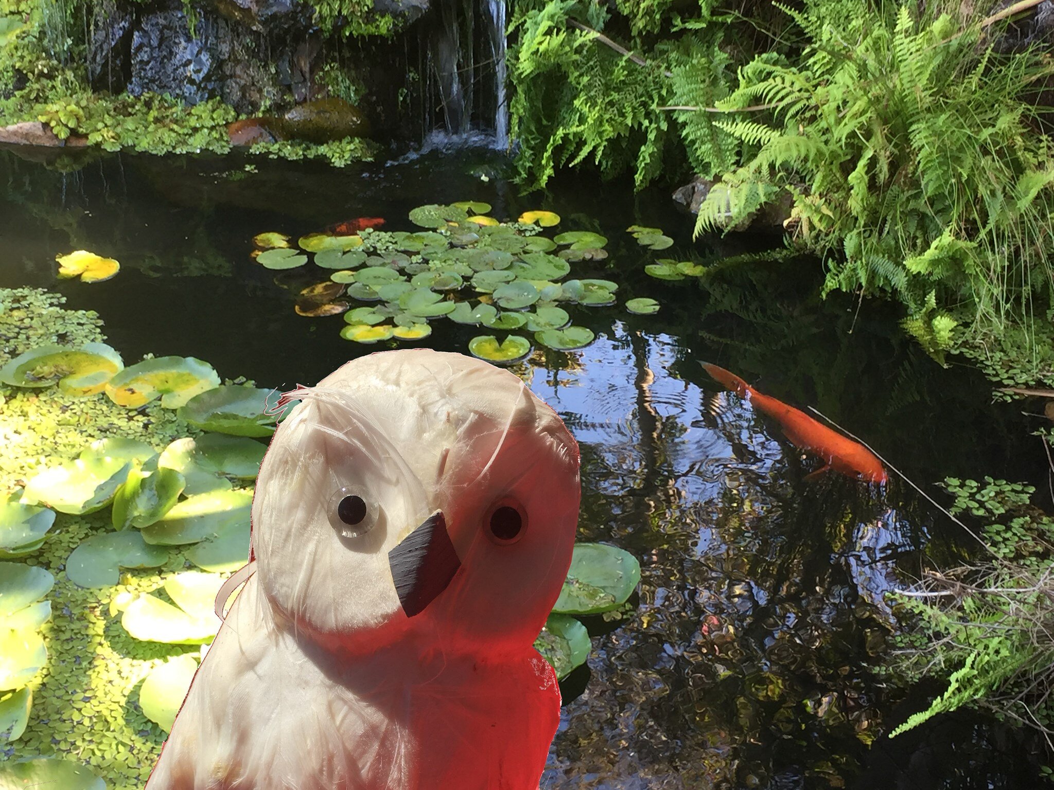 CANCELLED - Nights at Tempe #26