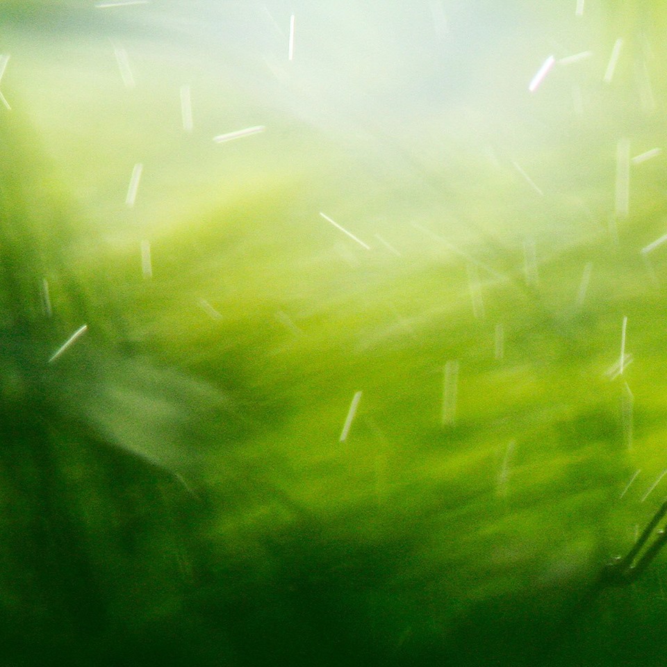 Triage / Maria Moles & Adam Halliwell / Matthew Syres at Staves