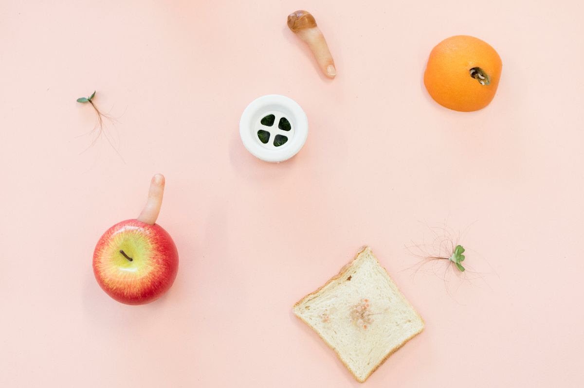 The Freedman Foundation Travelling Scholarship Exhibition