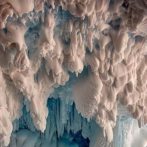 Black Box Series #7 - Out of Phase, Jikuroux & Chanel