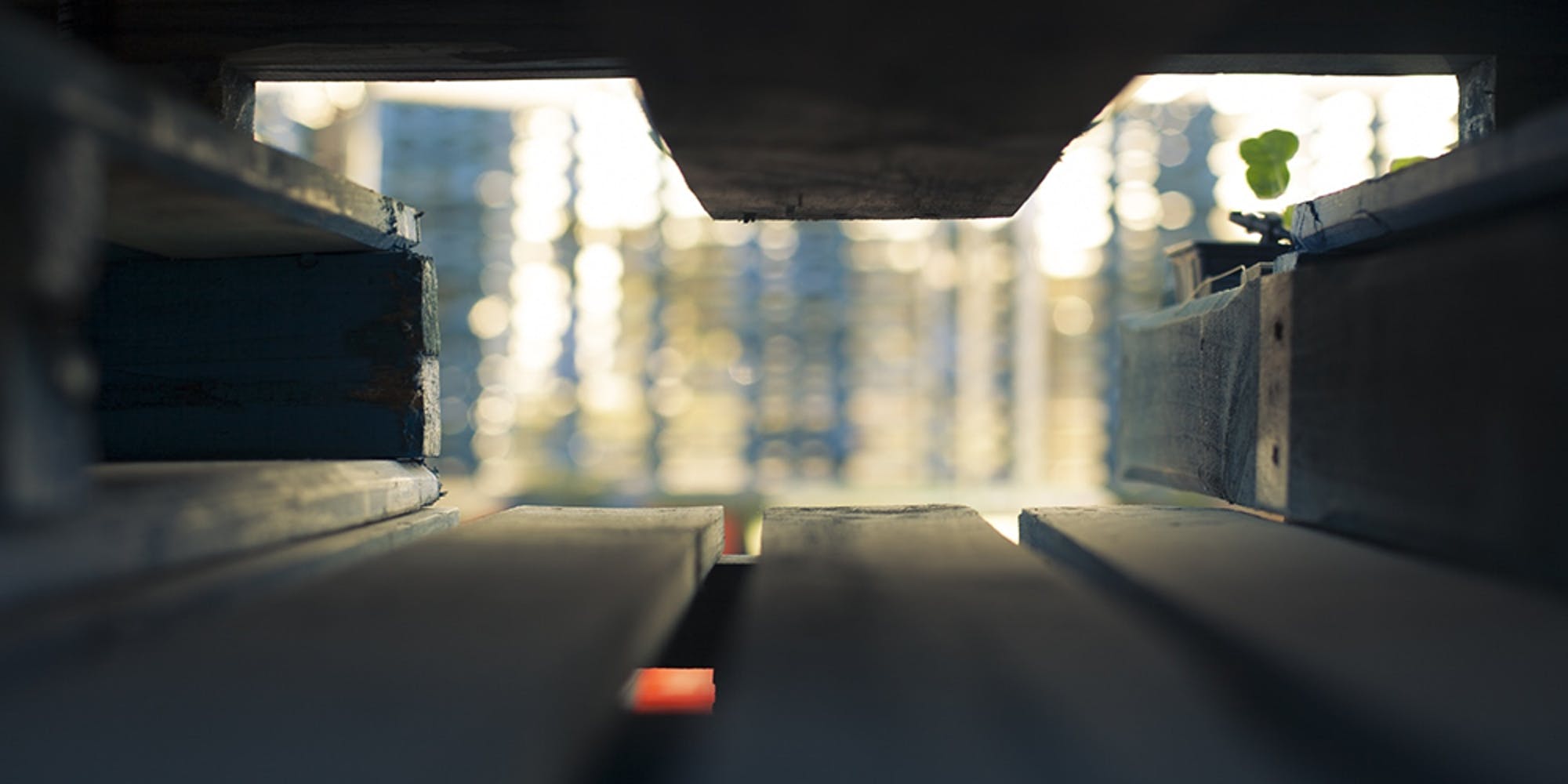 Making Space I: Bodies, Space and the Anthropocene