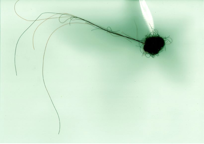 t h e s u b t le b e i n g s