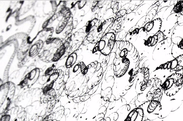 Gary Warner 'sound | drawing'