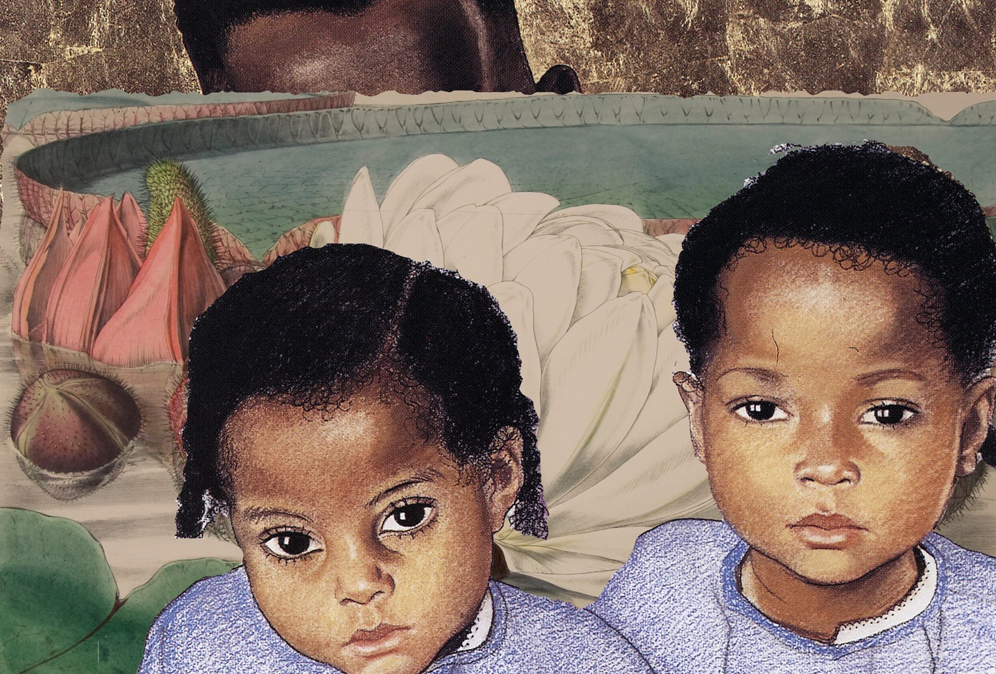 the NOW now 2019 program launch