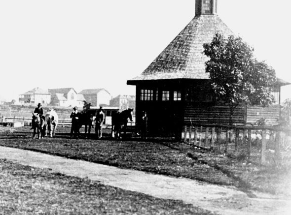 The Great Attractor No. 3 