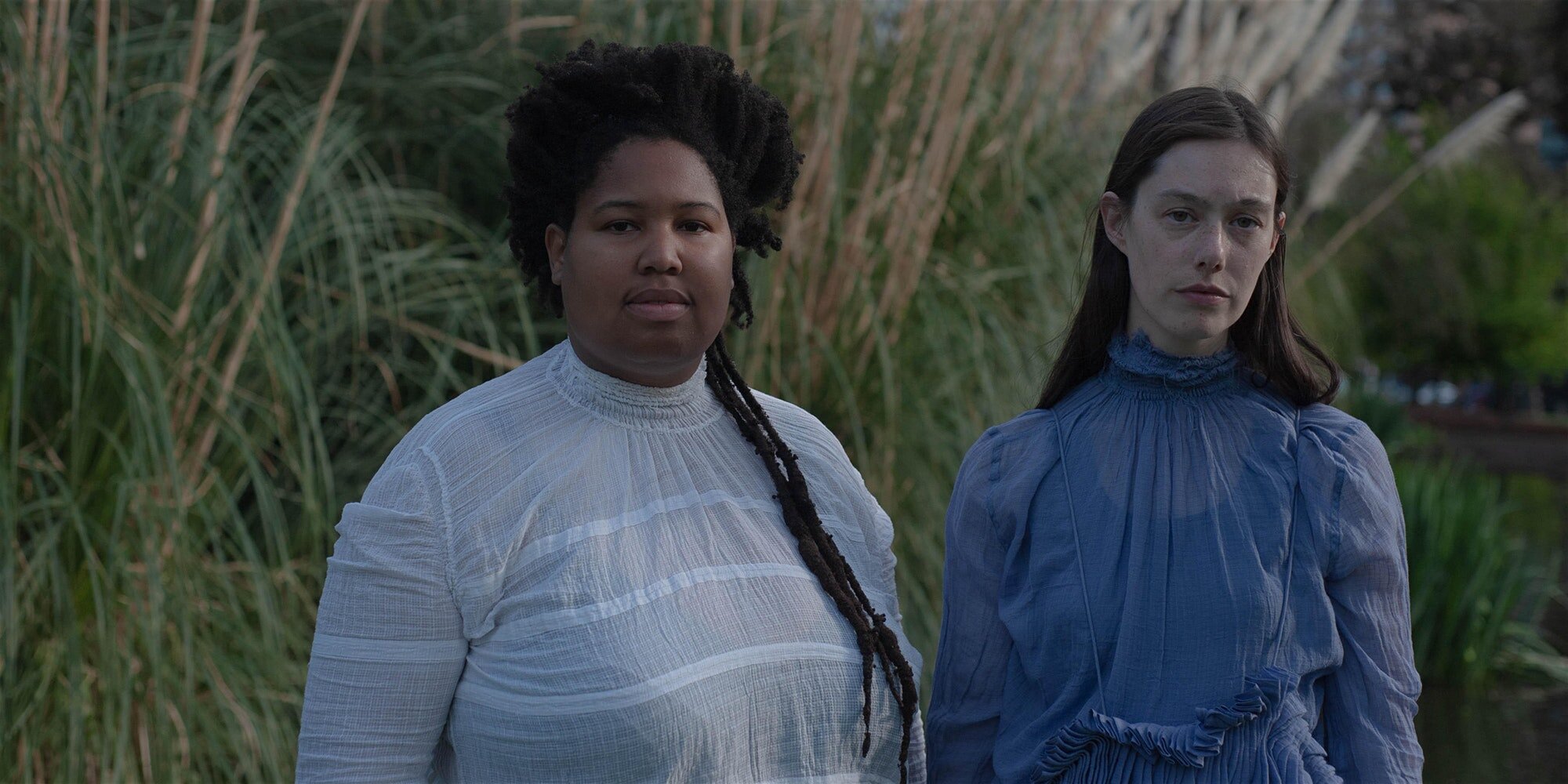 Divide and Dissolve + Canine + Arafura