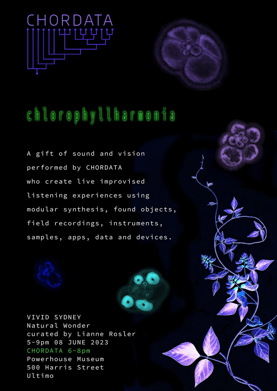 CHORDATA chlorophyllharmonia