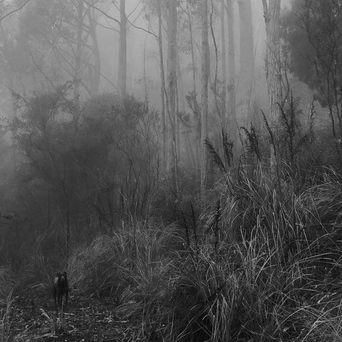 Julius Schwing: "Wagtail" Album Launch