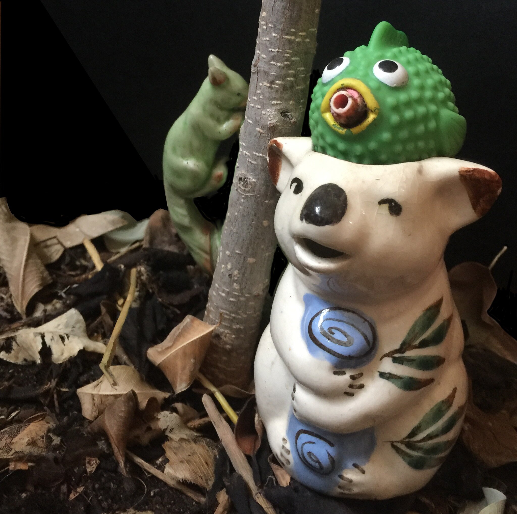 Nights at Tempe: Summer Edition