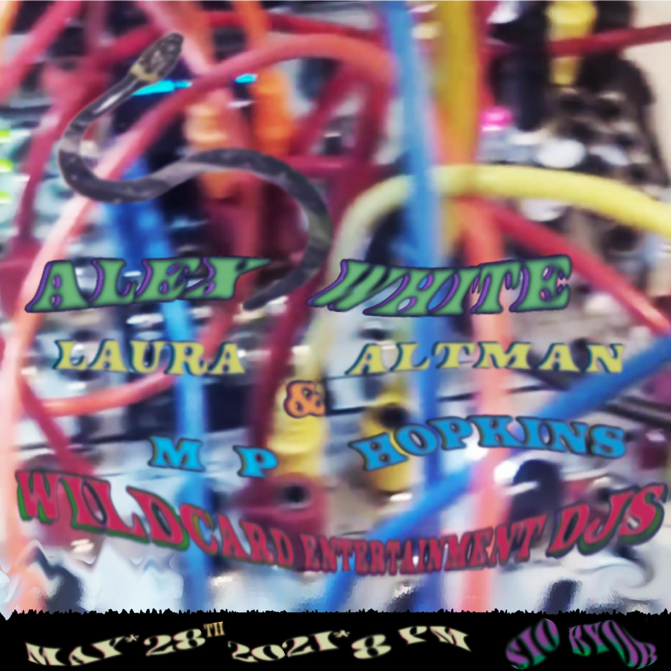 Alex White, Laura Altman & MP Hopkins, Wildcard Entertainment DJs