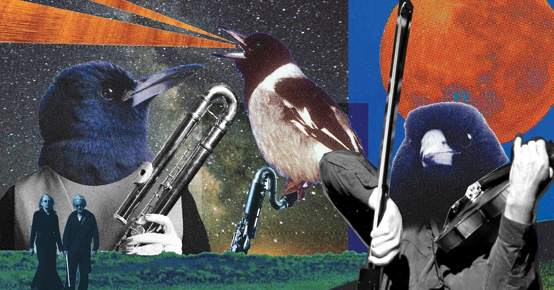 Night Songs, Jon Rose, Liveworks '22