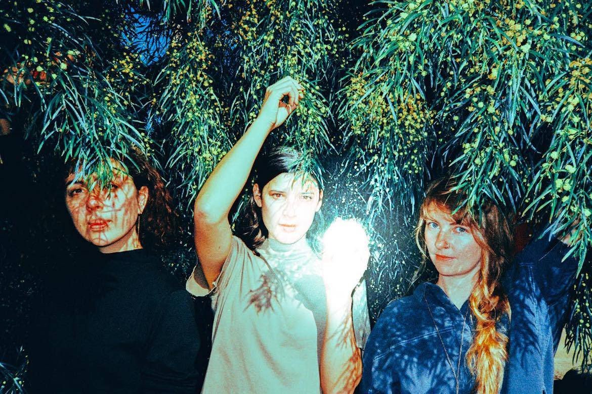 LAST EVER CAMPERDOWN PERFORMANCE!! The Brilliant PANGHALINA