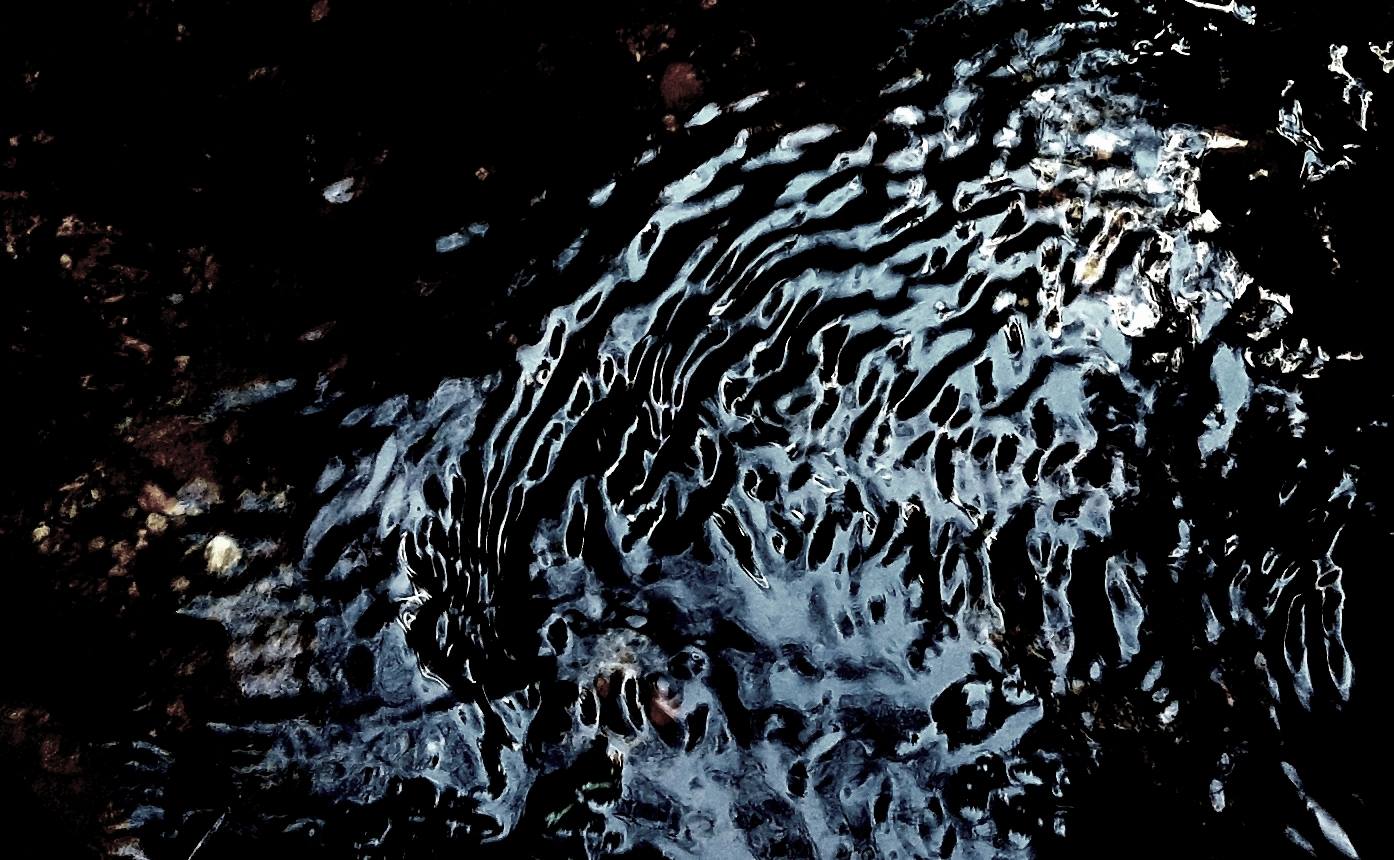 Nocturnal soundwalk, cooks river