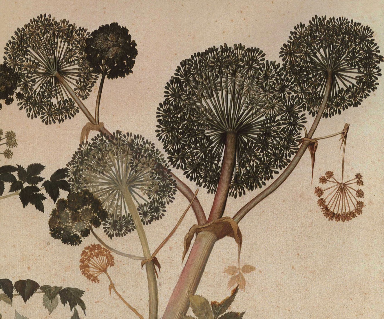 Posse Cut: Henderson, Thomas, Edwardes