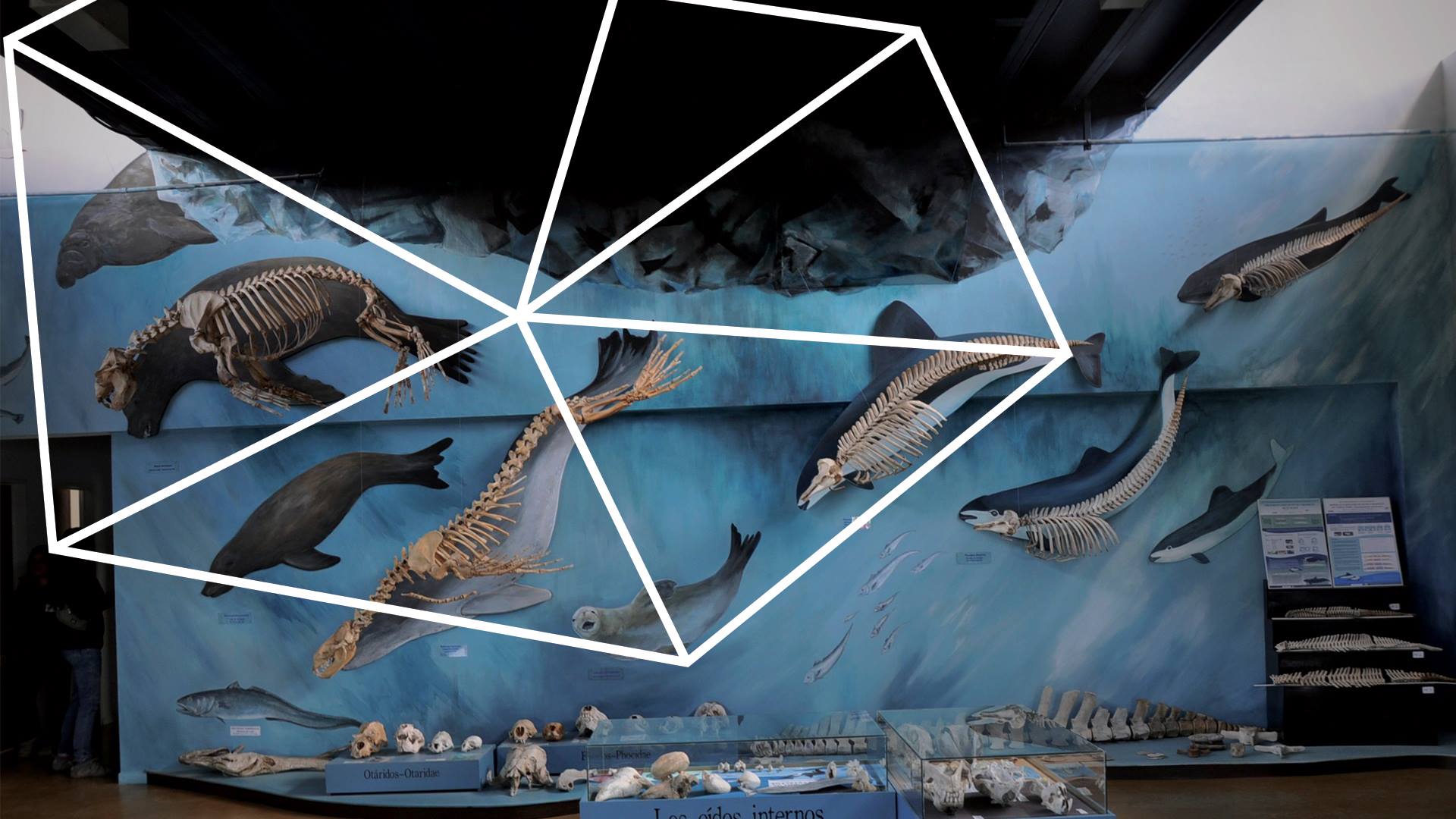 Late at the Lab hosted by Liquid Architecture