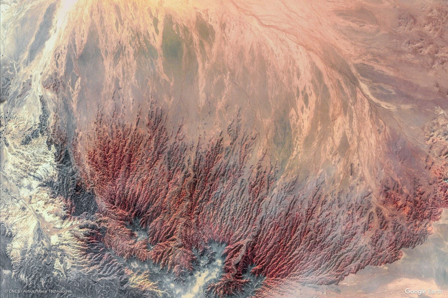 MIUC 190520 Online Concert #9