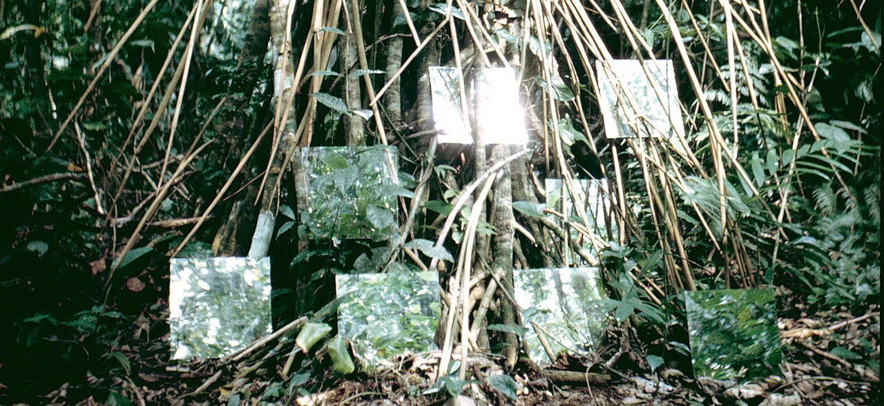 MIUC 010920 Online Concert #24