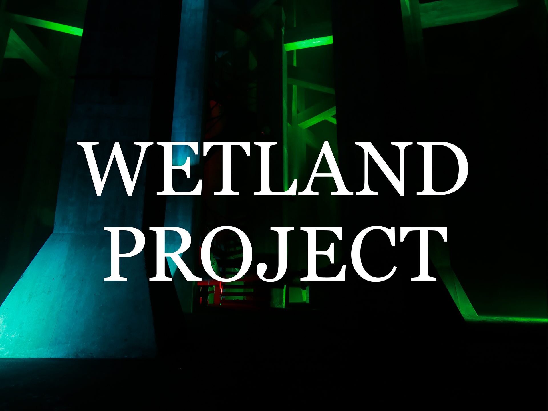 Wetland Project Slow Radio Broadcast on Earth Day