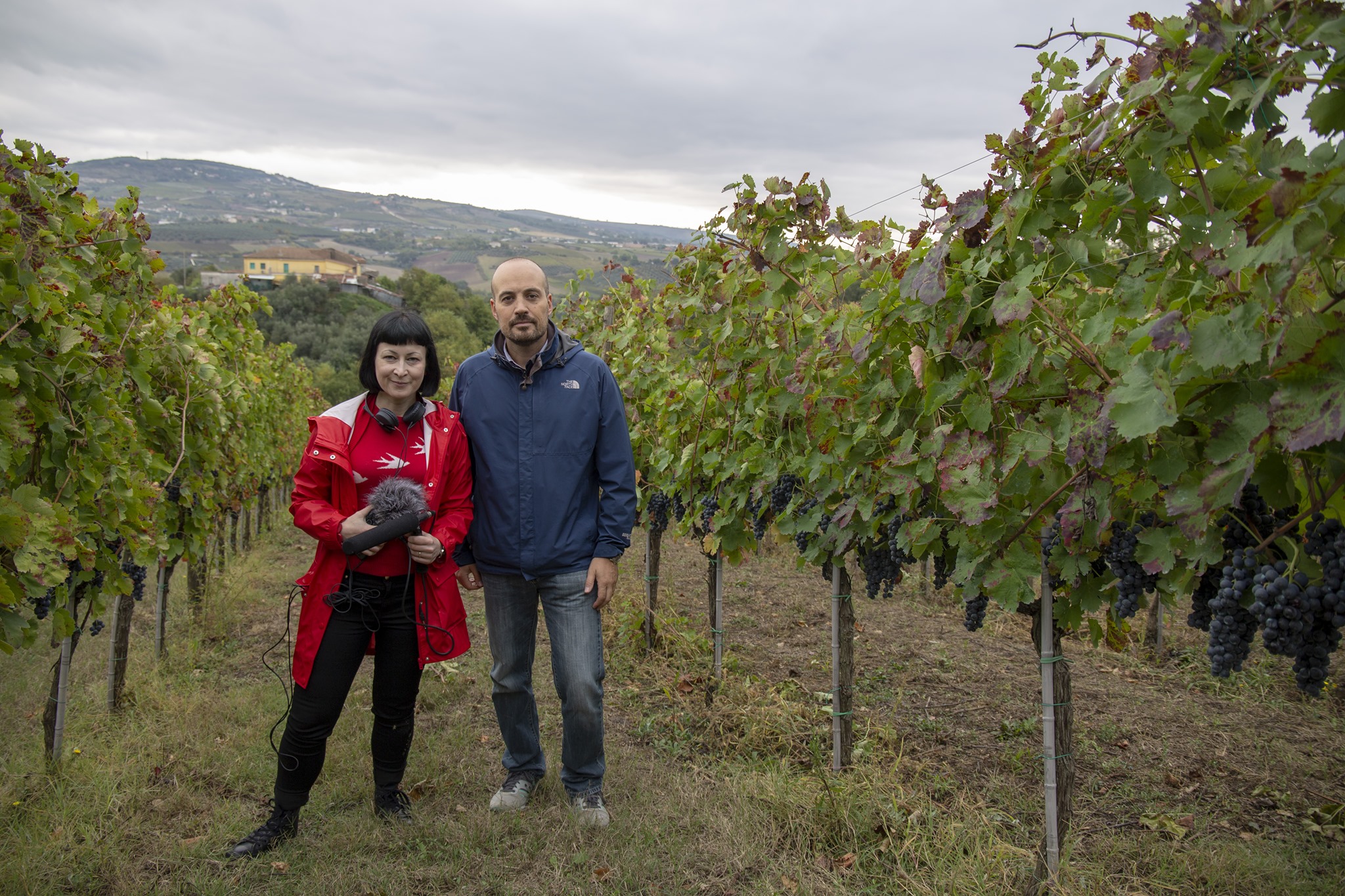 Rural Resonances: Sound, Wine and Rural Futurism