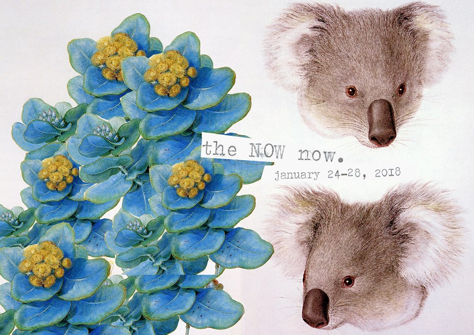 the NOW now Festival 2018