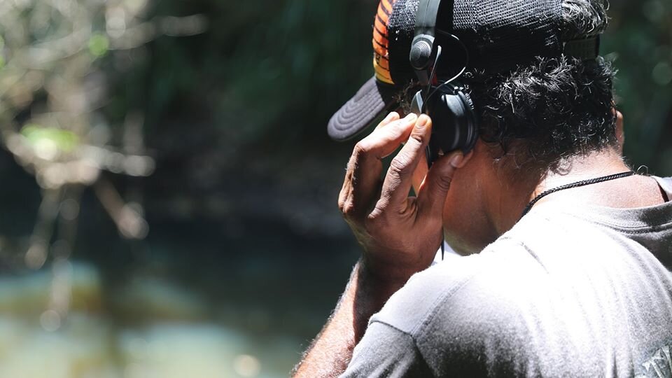 Listening in the Wild