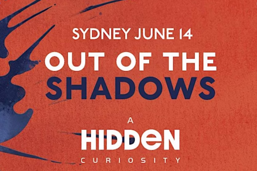 Out of the Shadows: A Hidden Curiosity