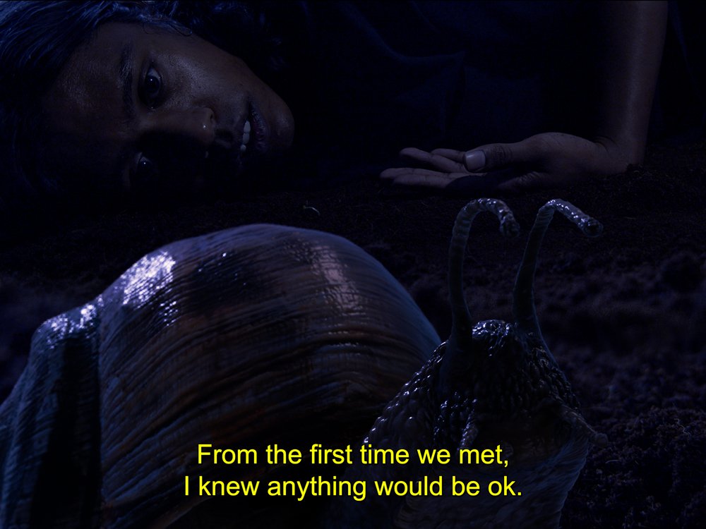 OPENING NIGHT / RADICAL SLOWNESS