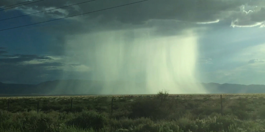 THUNDERHEAD: Tina Havelock Stevens and Liberty