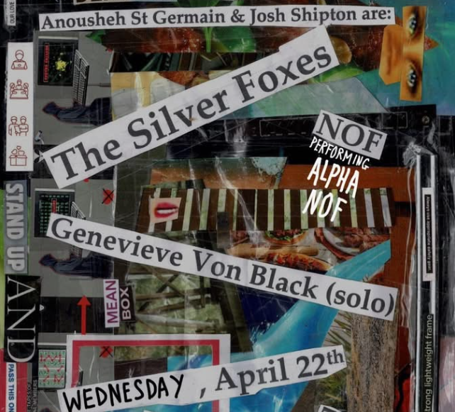 The Silver Foxes and friends