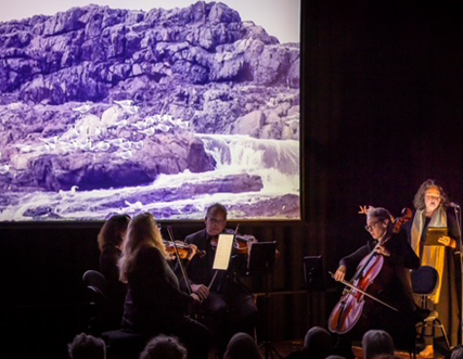 Elizabeth Walton & Acacia Quartet