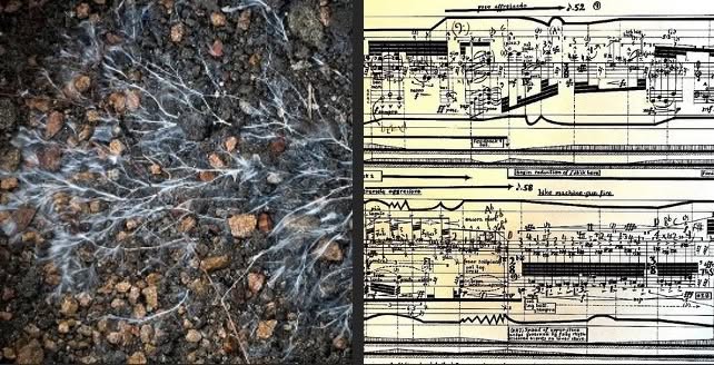 CHRIS PIDCOCK and BEN CAREY play Ferneyhough + Funguszeit